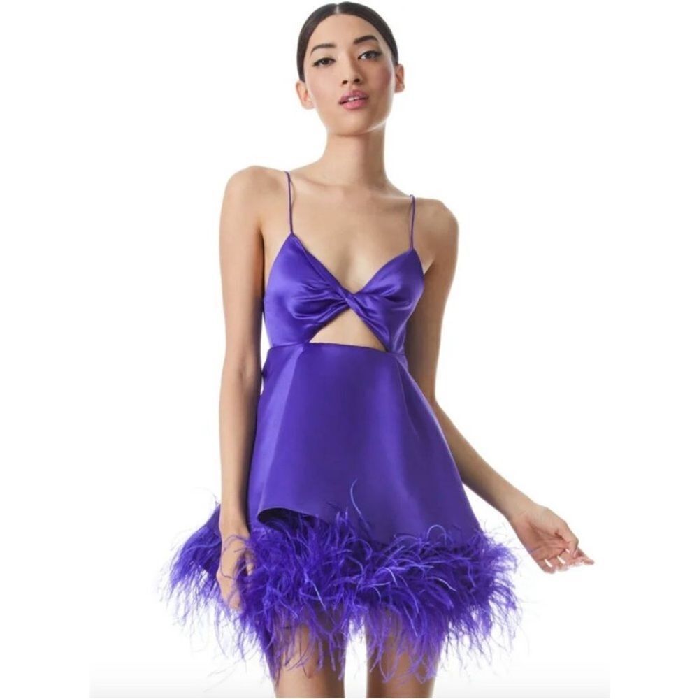 alice + olivia Necole Feather Hem Dress